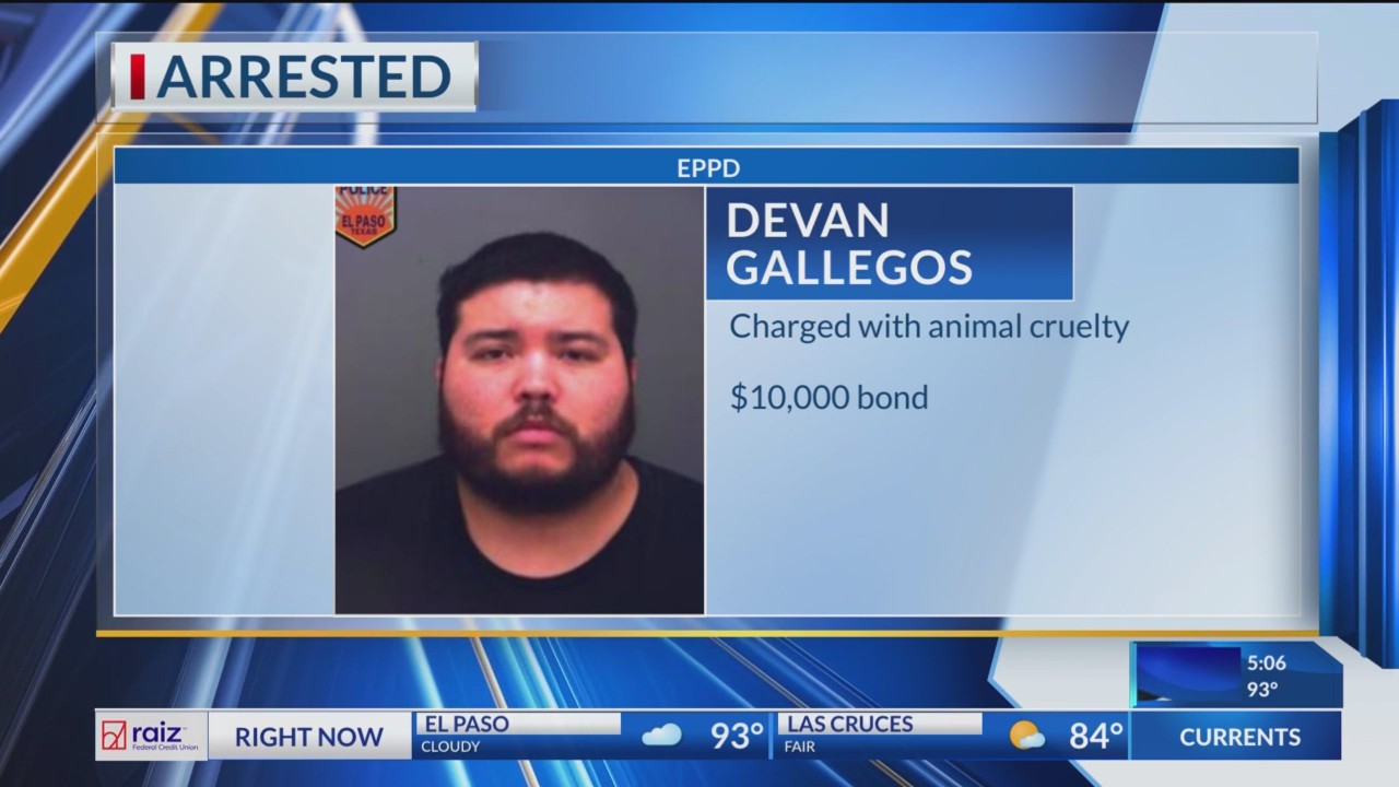 El Paso man arrested for alleged animal cruelty – KTSM 9 News