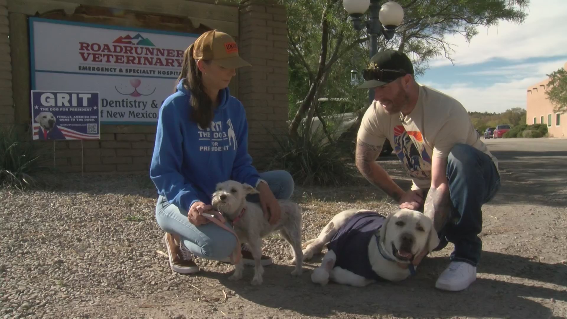 ‘He protected her’ New Mexico dog burned while shielding other dog in
