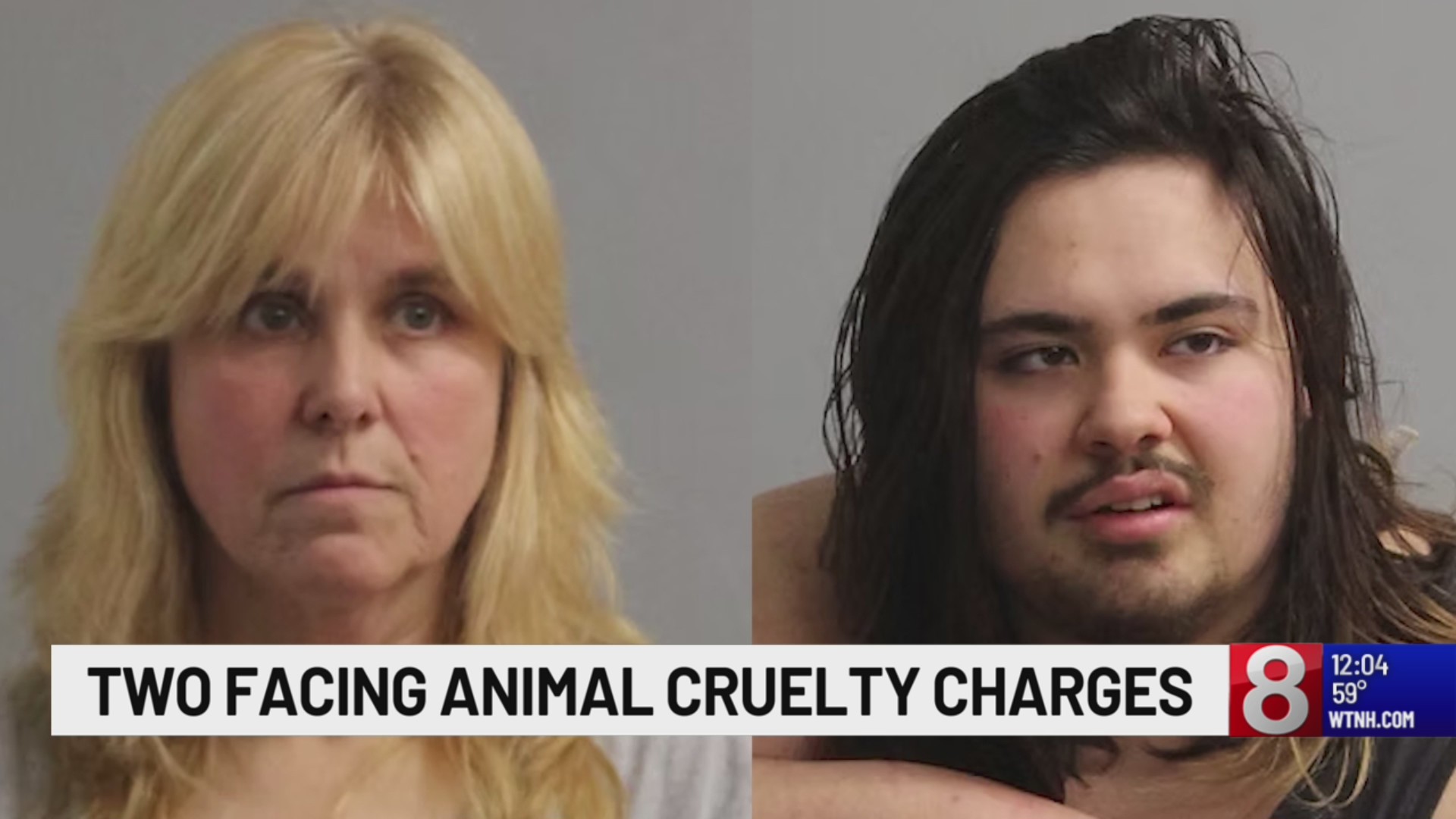 2 arrested, 40 animals seized in Sterling animal cruelty investigation ...