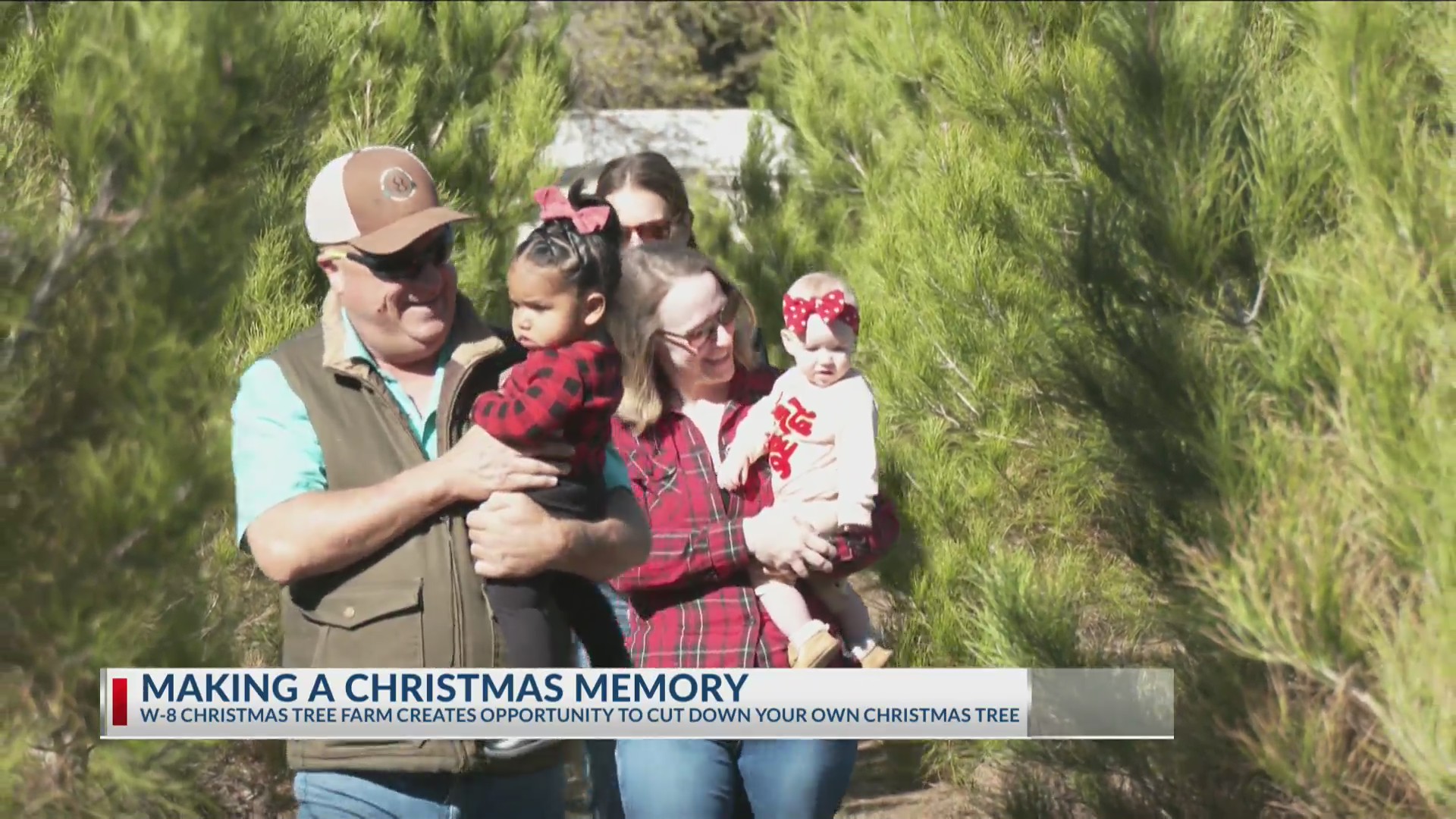 Creating holiday memories: West Texas Christmas tree farm offers family ...