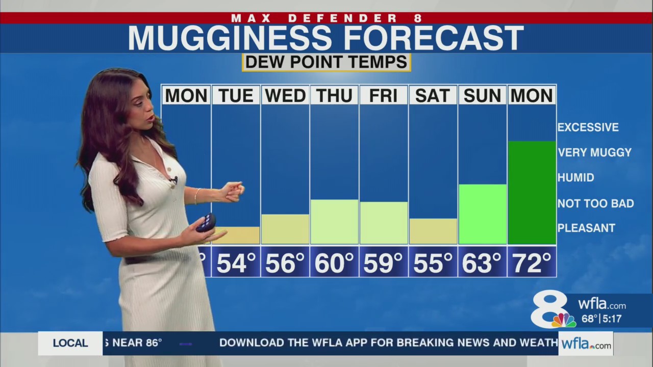 Warm with low humidity Monday afternoon in Tampa – WFLA