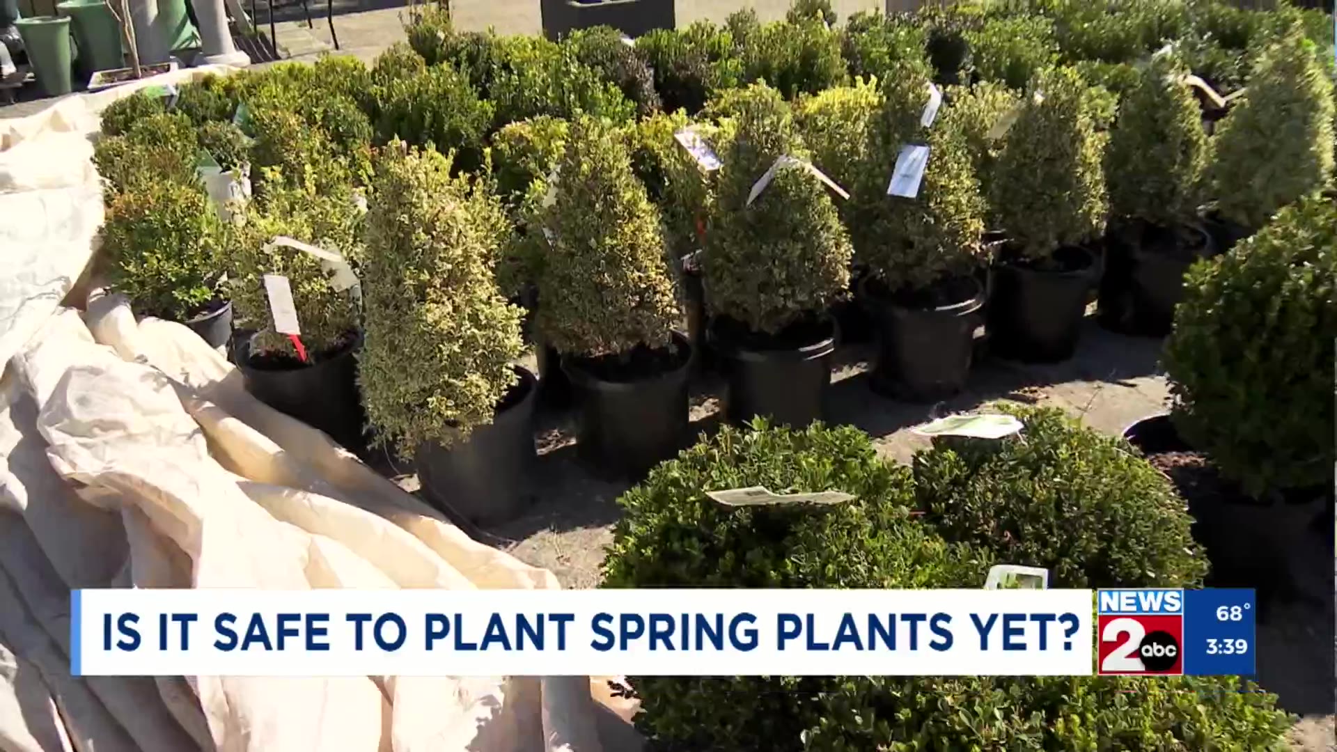Spring Planting Safety Is it safe to plant your spring plants yet? – WKRN News 2