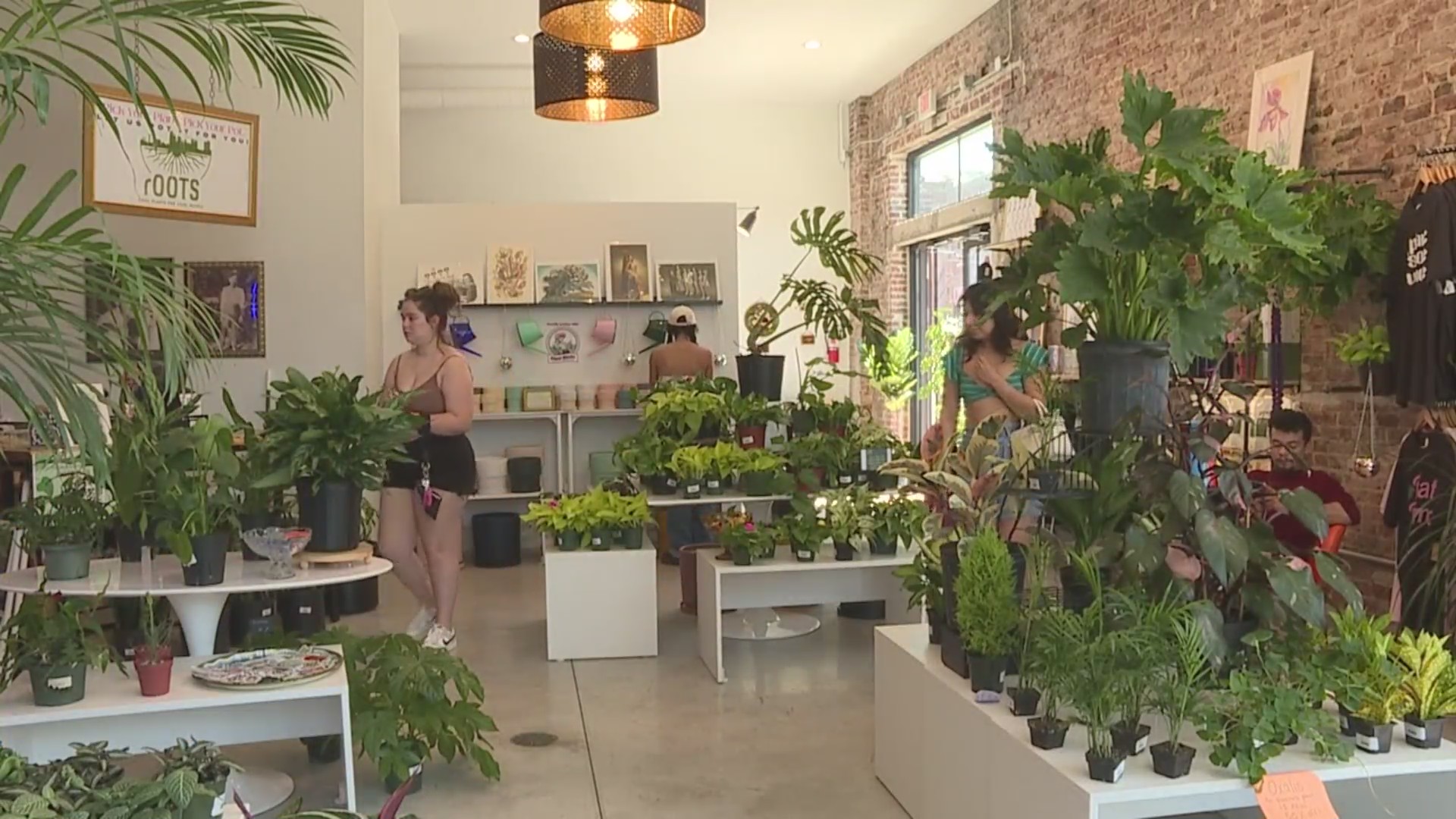 Kansas City plant shops give tips for National Gardening Day FOX 4