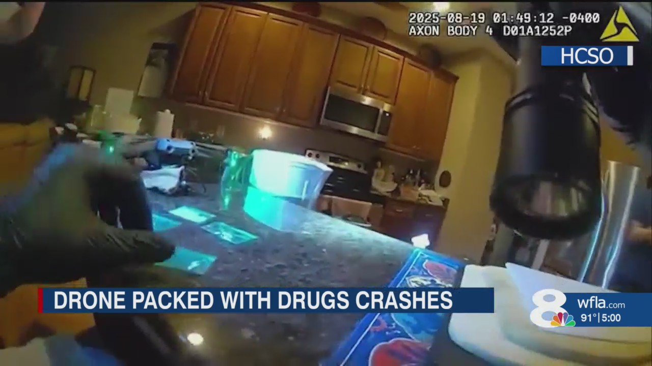 Man arrested after crashing drone carrying drugs into Lutz home ...