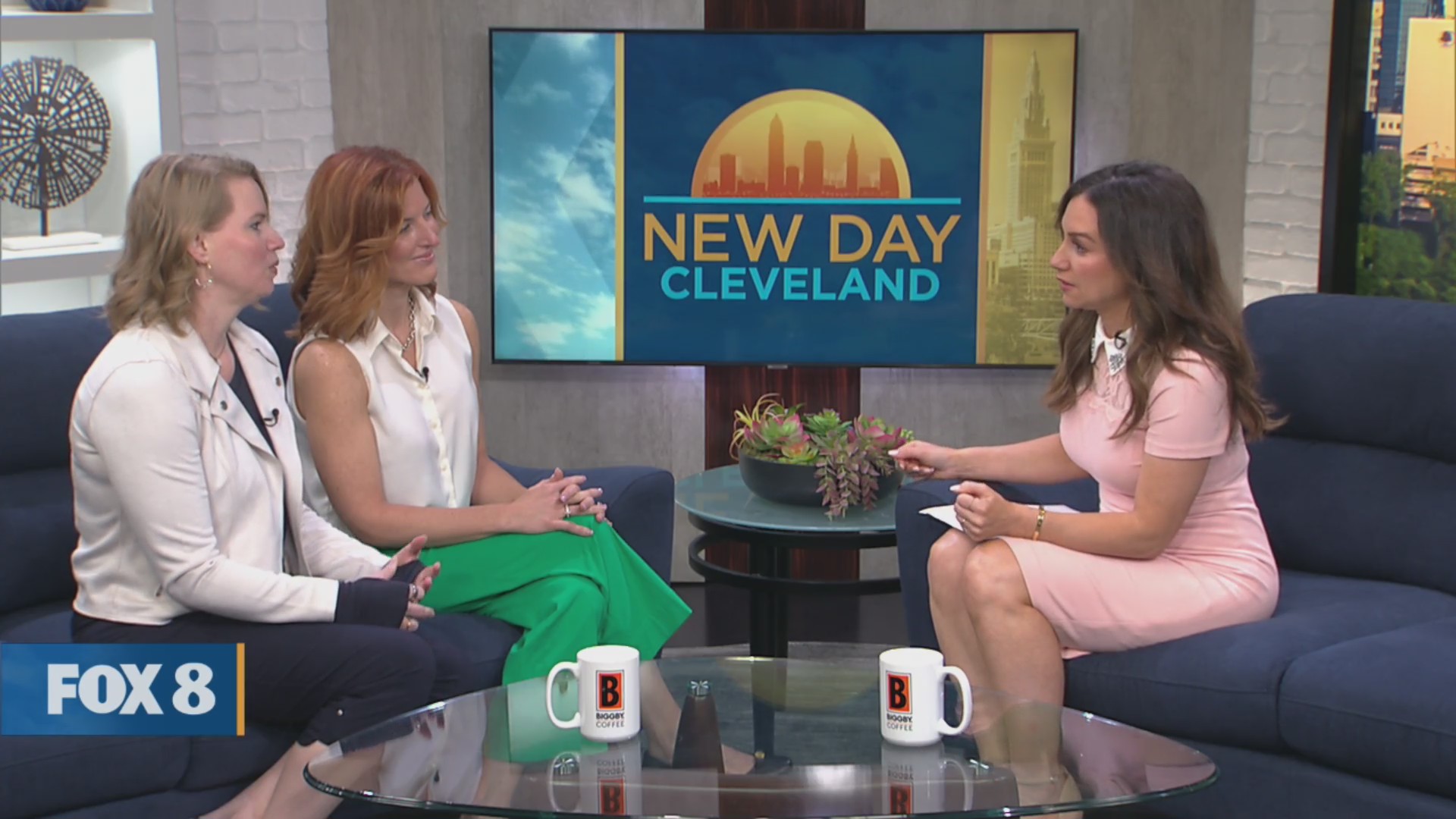 NDC/Fox 8 News at Noon: Physician Within – Fox 8 Cleveland WJW