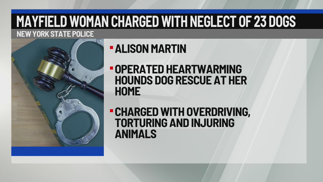Mayfield woman charged with neglect of 23 dogs – NEWS10 ABC
