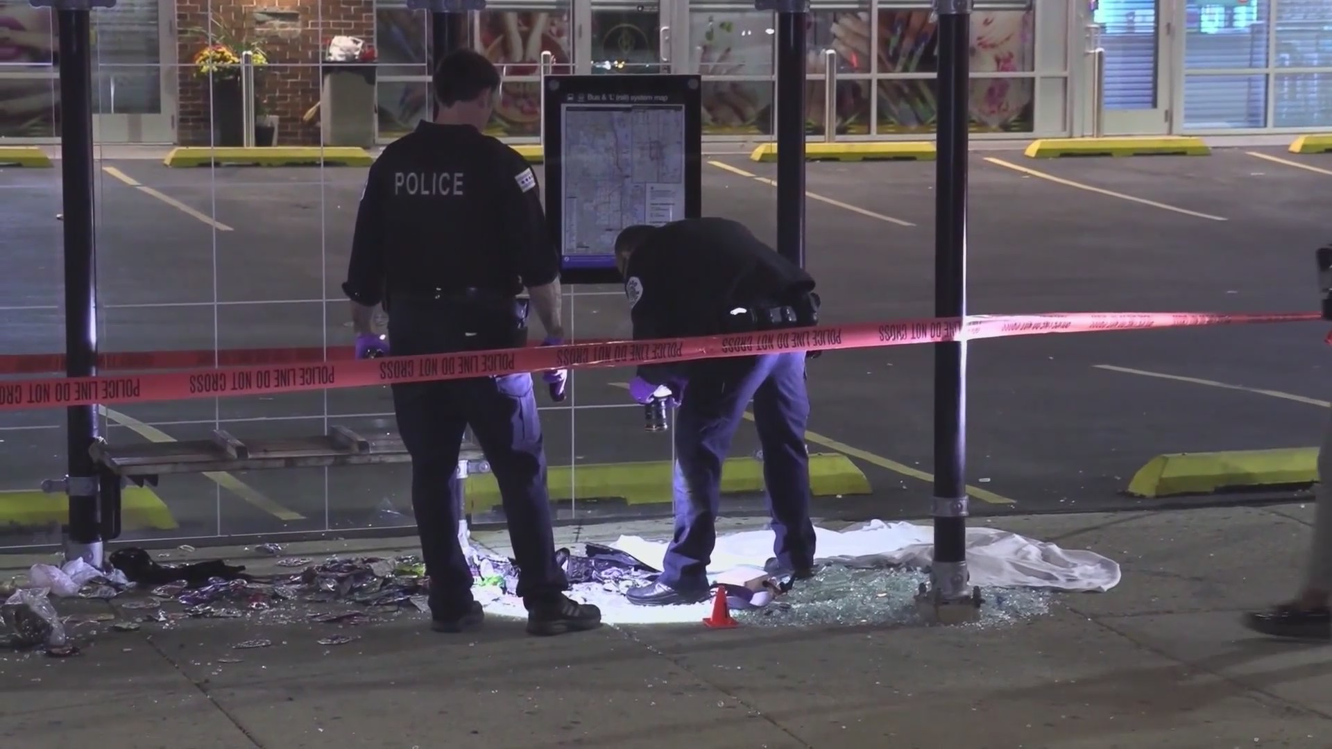 Homewood man charged in beating death on Far South Side – WGN-TV