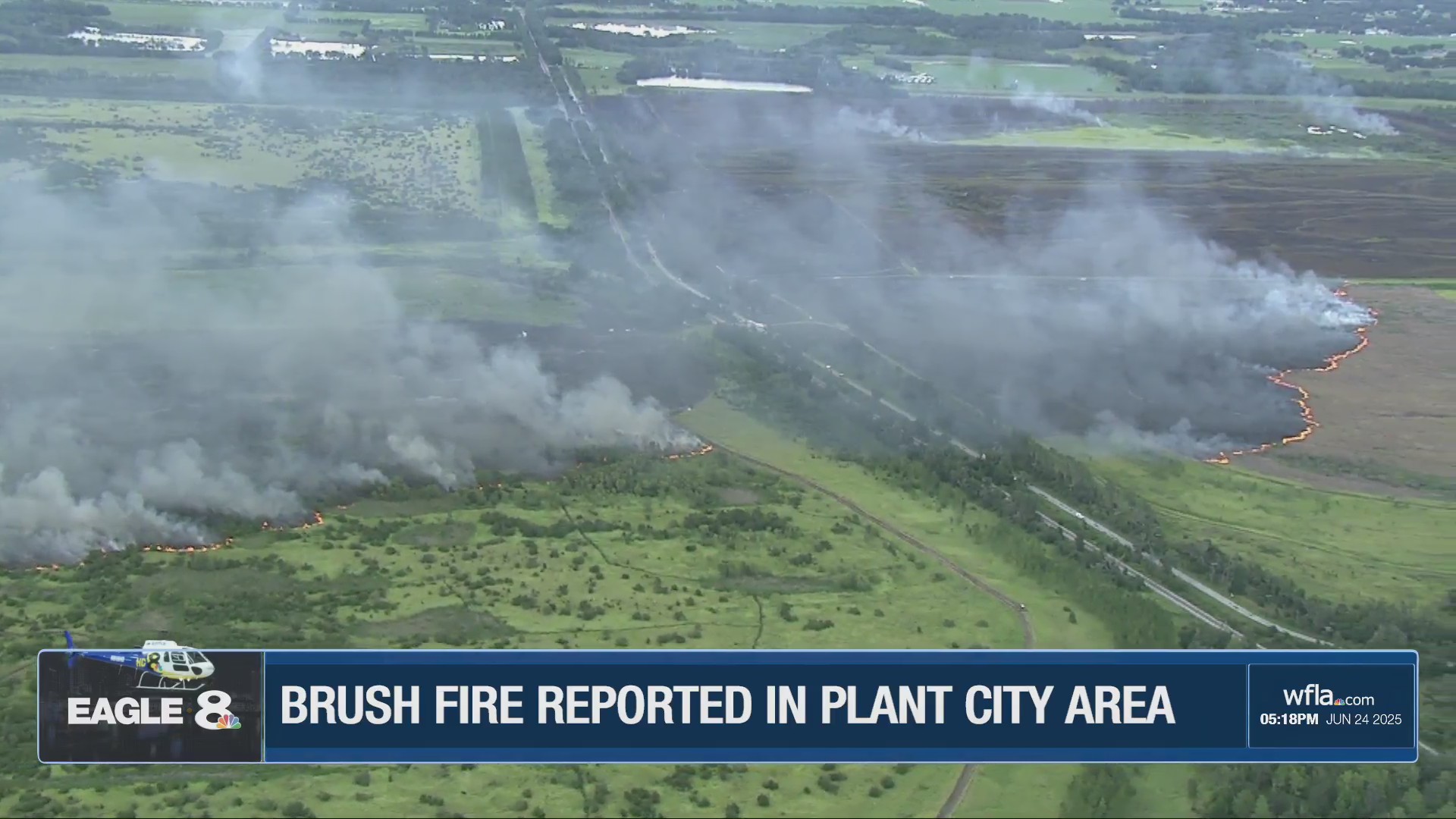 Brush fire in Plant City – WFLA