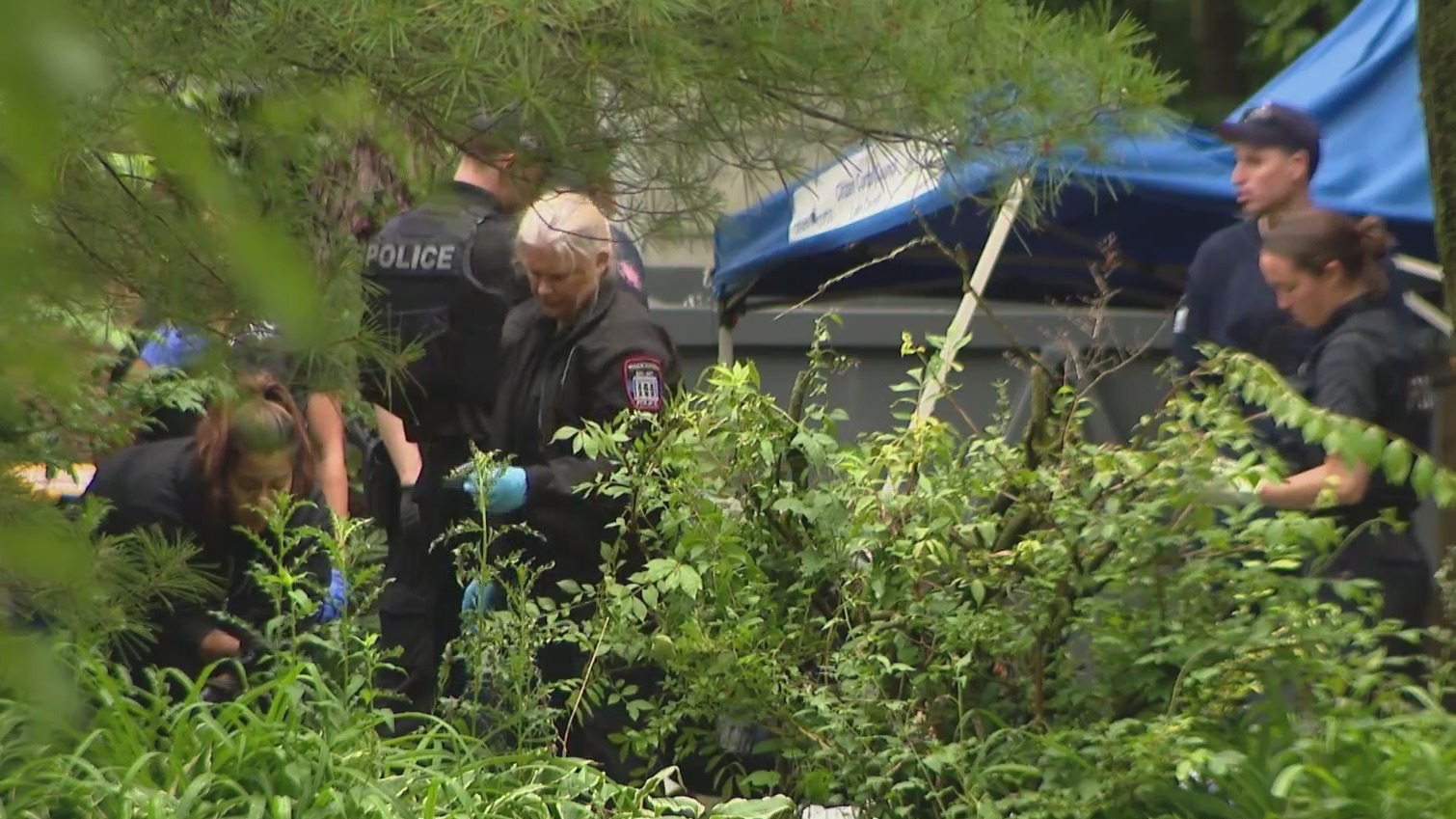 Brothers found shot to death outside burning Highland Park home – WGN-TV