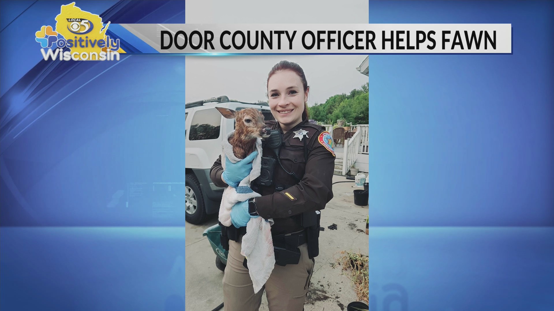 Door County Sheriff’s Deputy rescues fawn born after mother deer hit by ...
