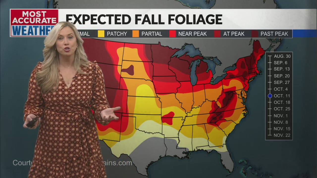 Copy and paste kind of forecast for the Ozarks β KOLR β OzarksFirst.com