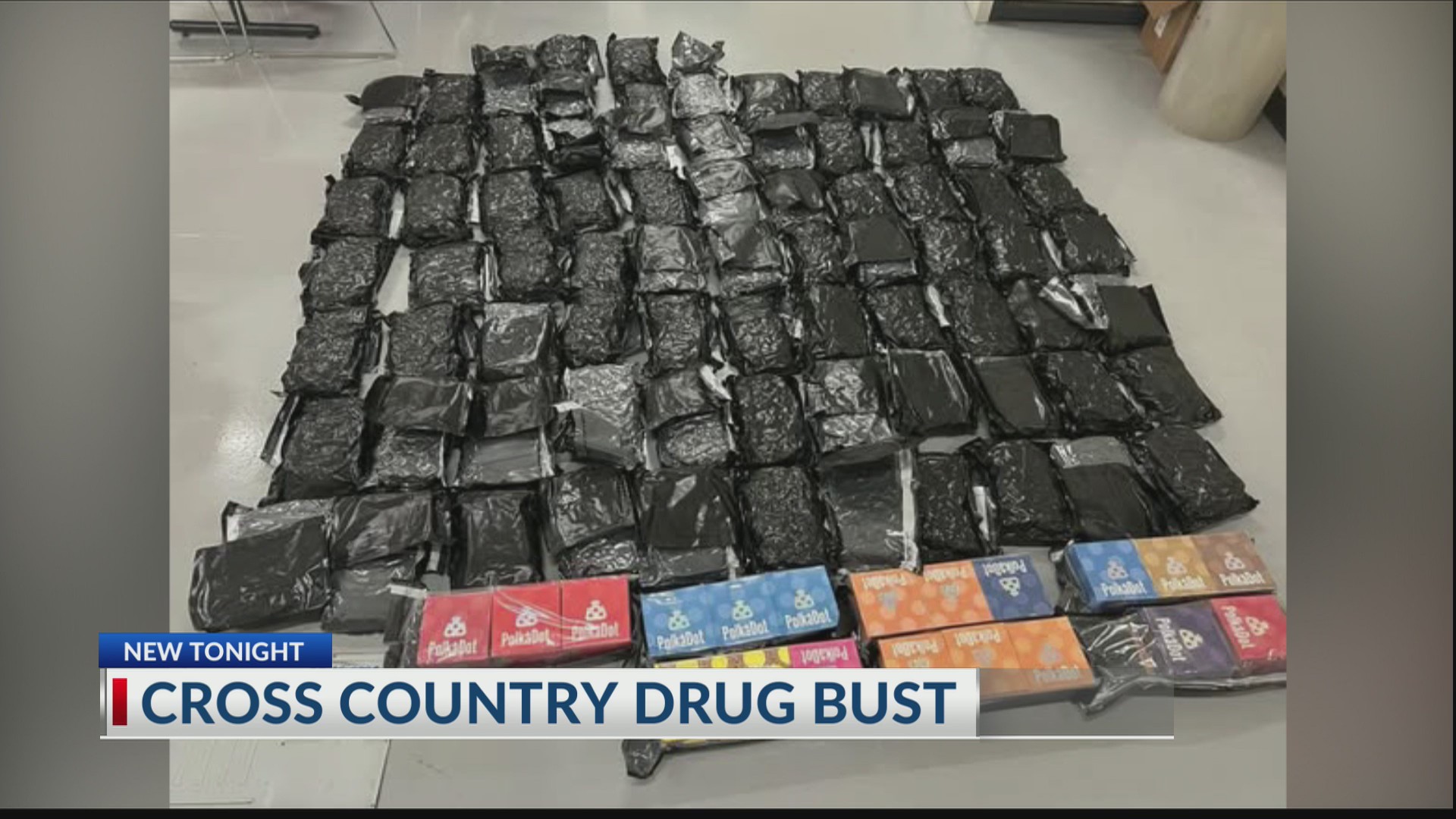 Over 150 pounds of drugs seized, arrests made in Bulloch County ...