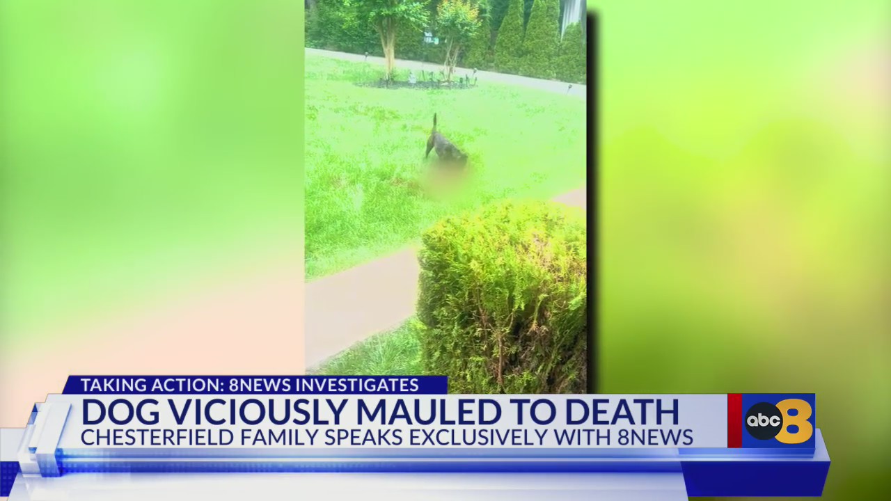 Chesterfield family demands justice after dog mauled to death – WRIC ...
