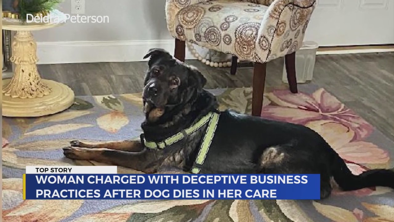 Dog owners speak out after trainer arrested – WJHL | Tri-Cities News ...