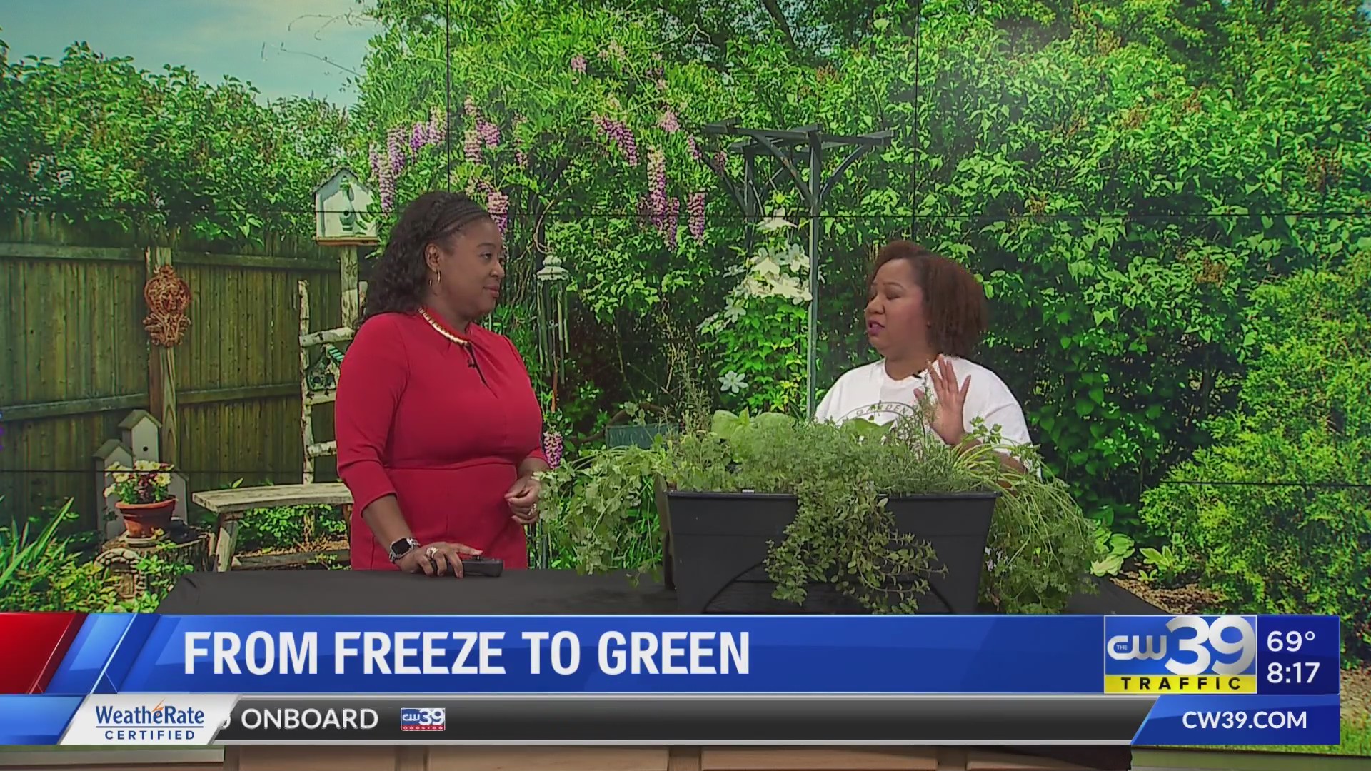 CW39 From Freeze to Green.. taking care of your garden in February ...