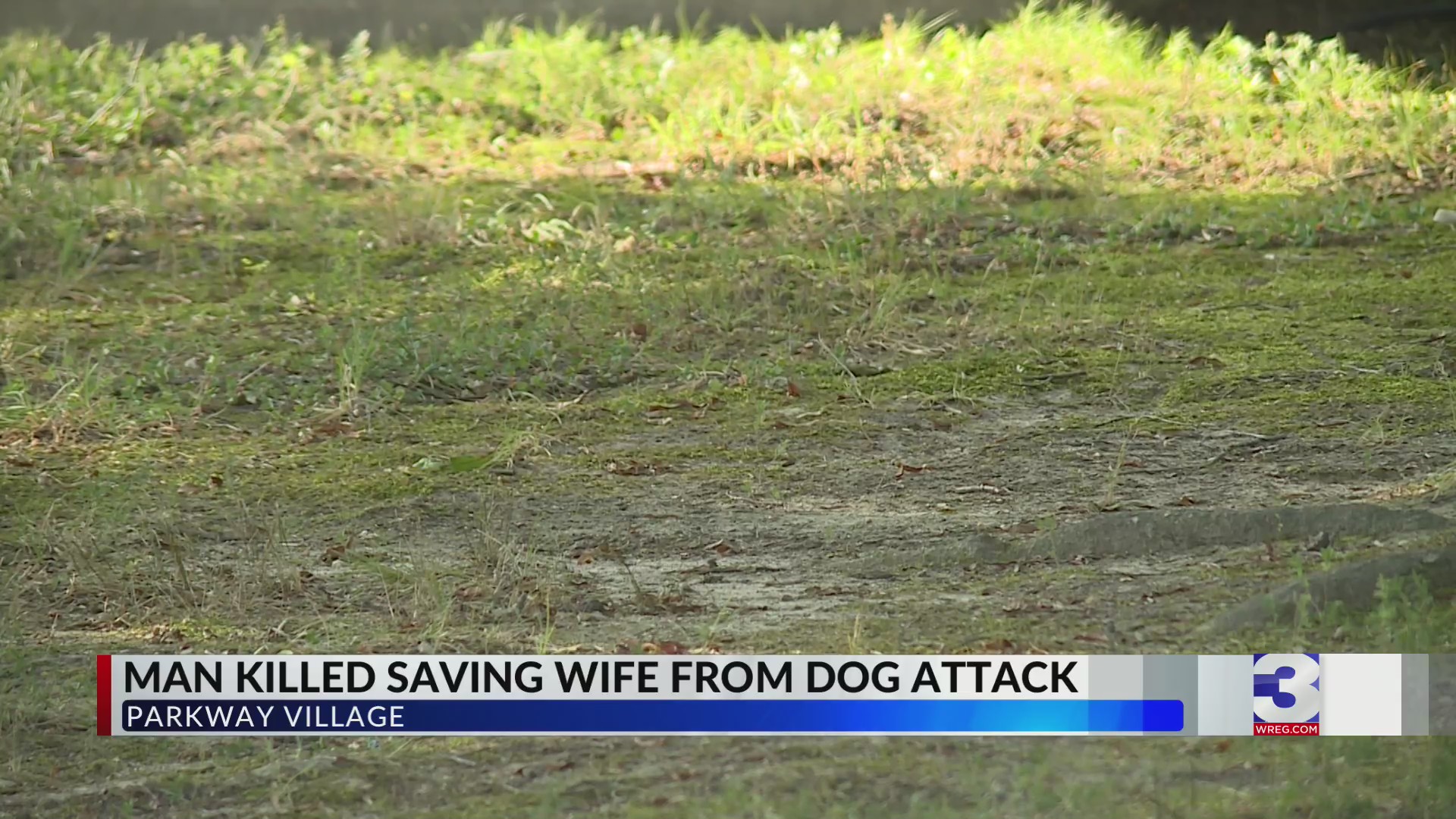 Man killed saving wife from vicious dogs – WKRN News 2