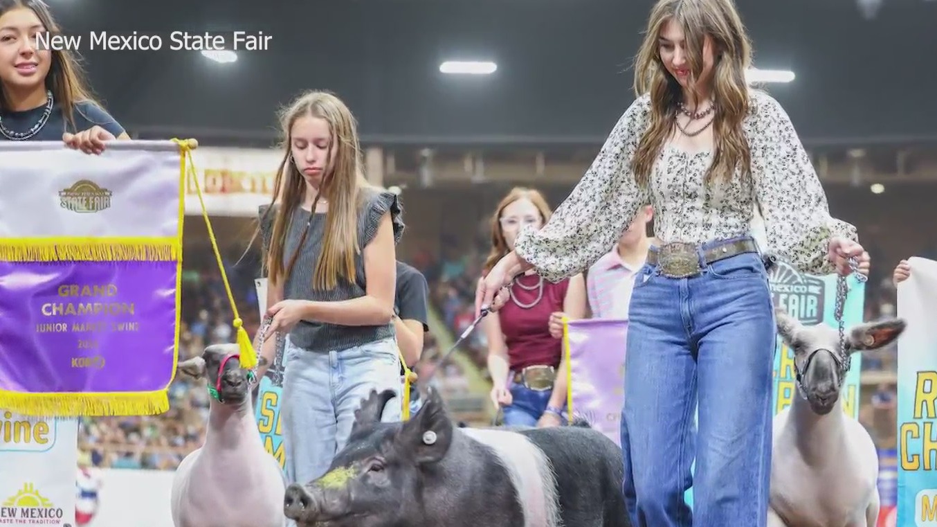 New Mexico State Fair livestock sale sets record again KRQE NEWS 13