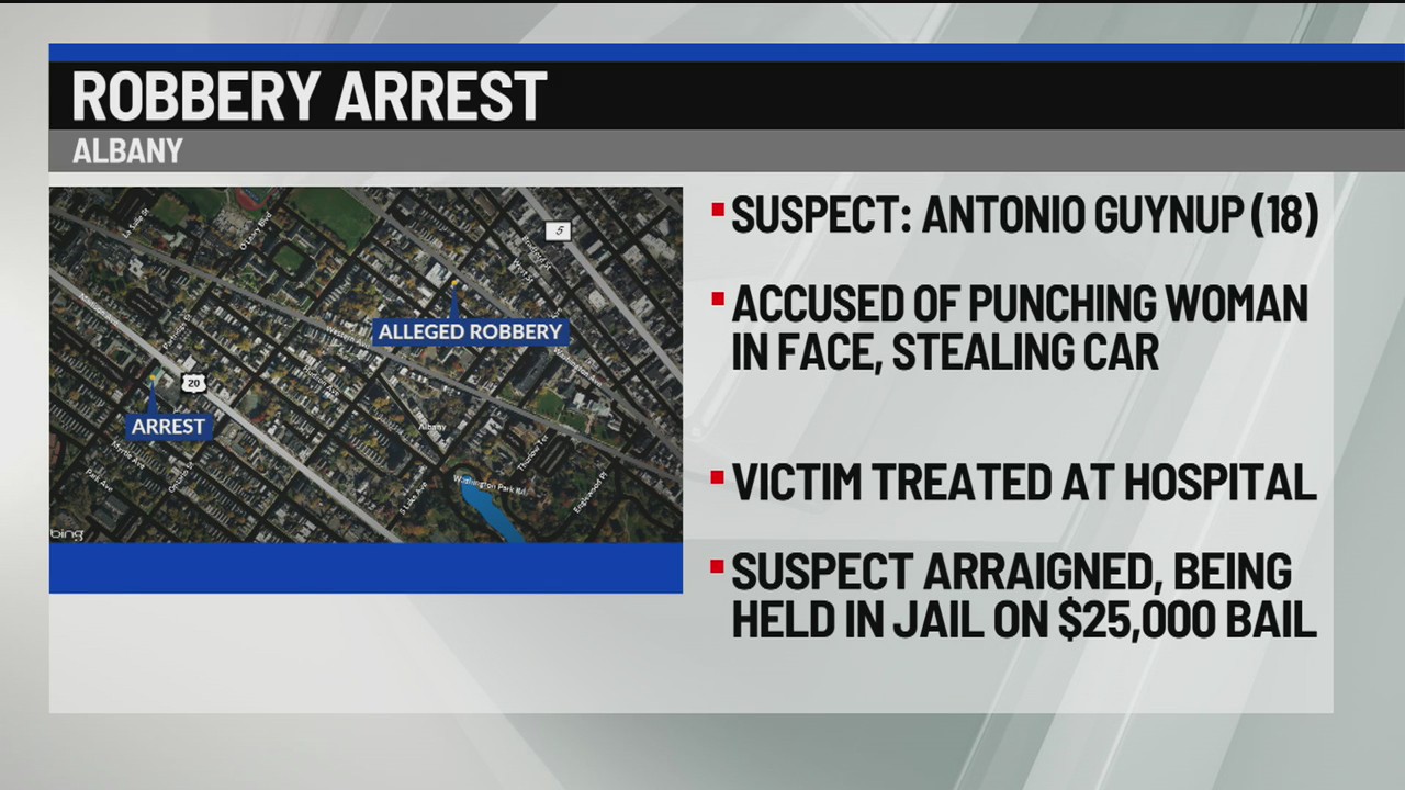 Albany 18-year-old charged with robbery, grand larceny – NEWS10 ABC