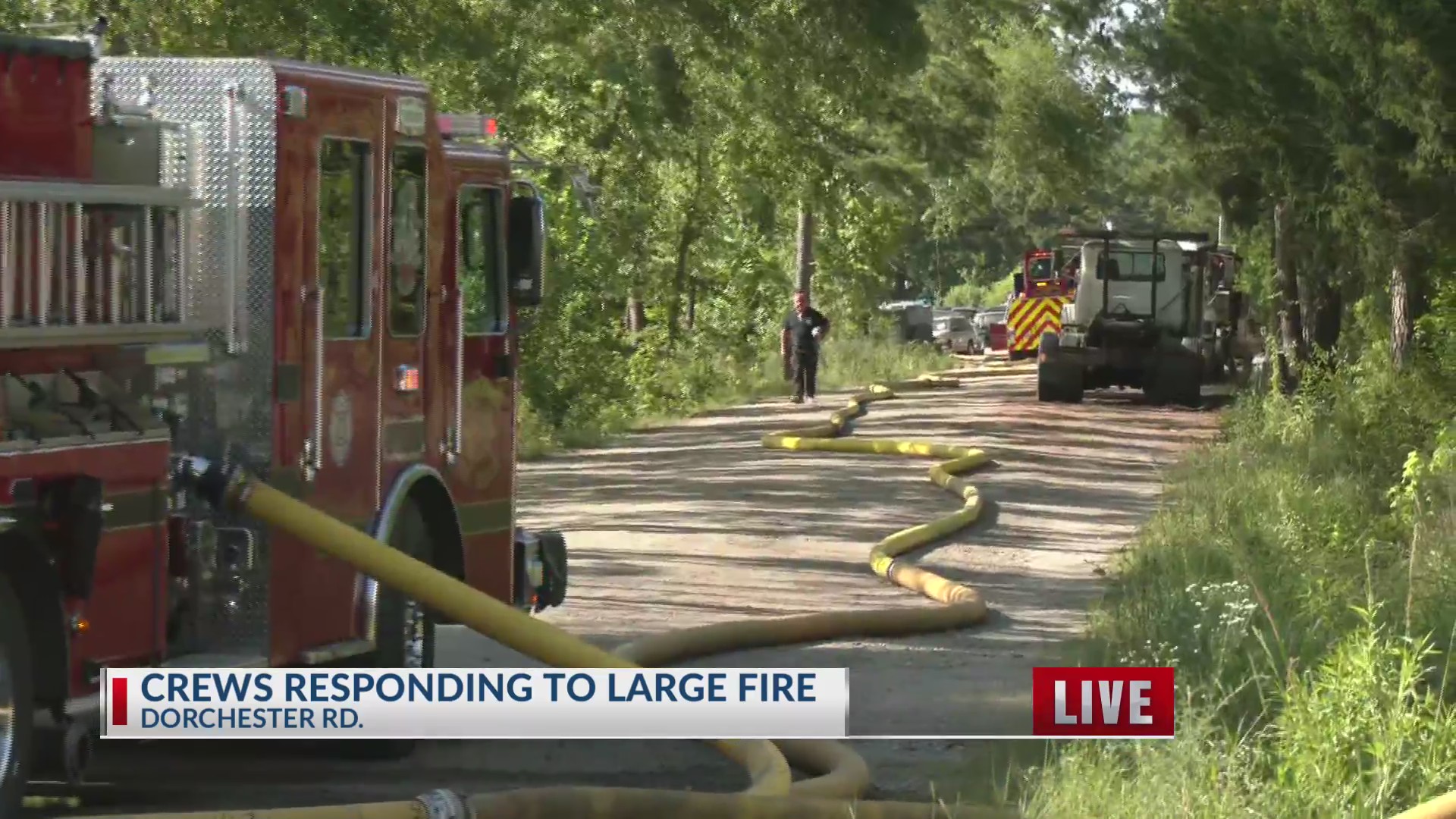 Crews respond to large fire off Dorchester Road – WCBD News 2