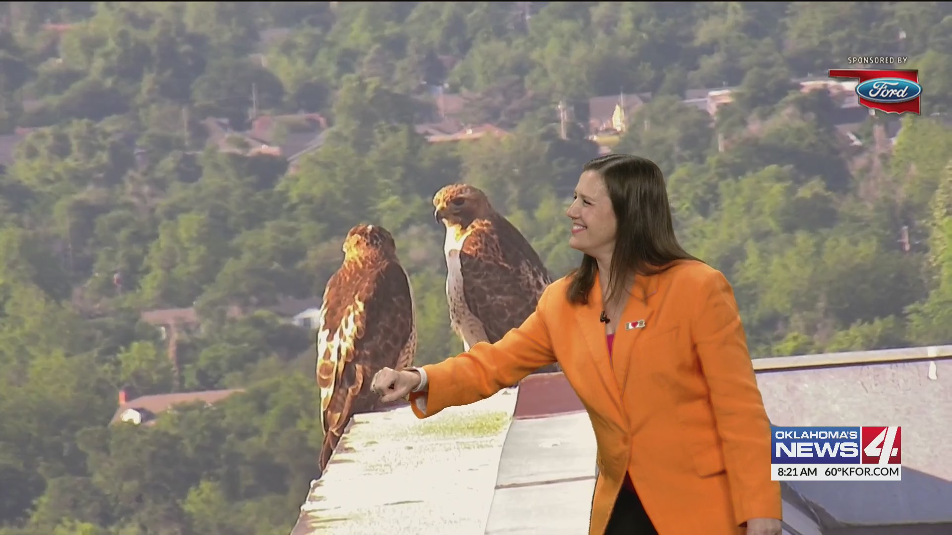 Hawks caught on live cam during Rise & Shine – KFOR.com Oklahoma City