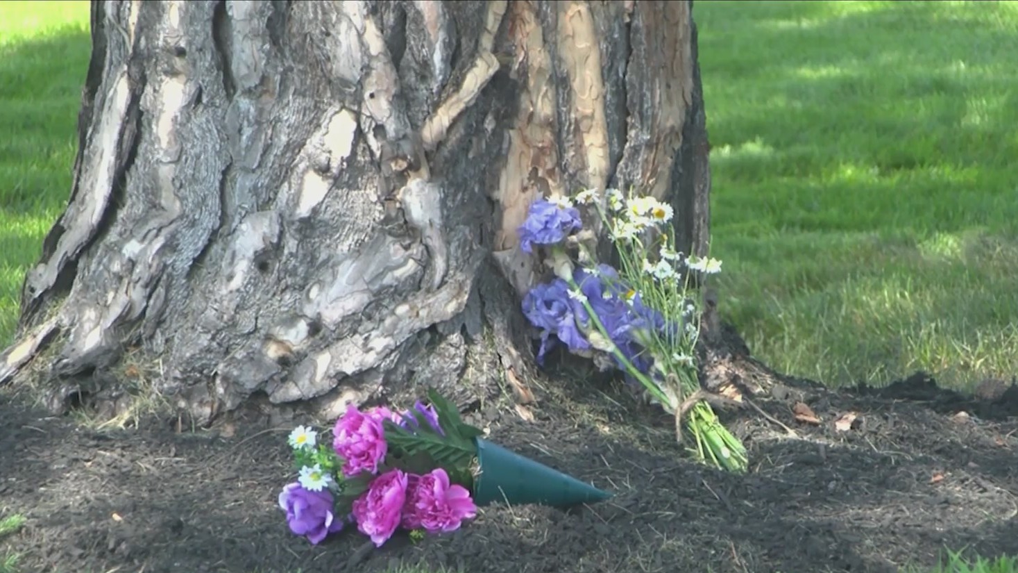 Court hearing waived for man charged in Parma crash that killed ...