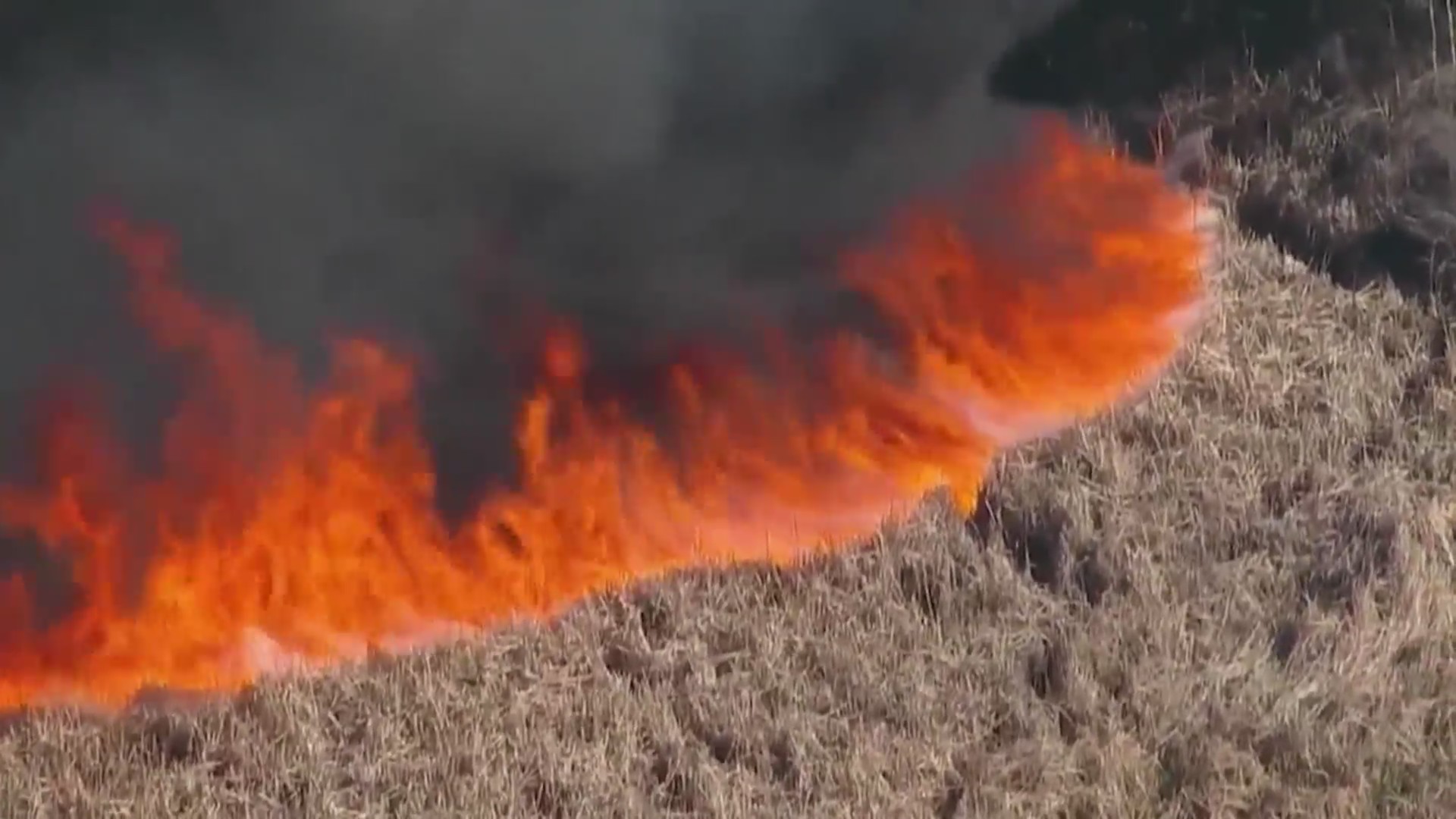 High fire danger with gusty winds Monday – FOX31 Denver