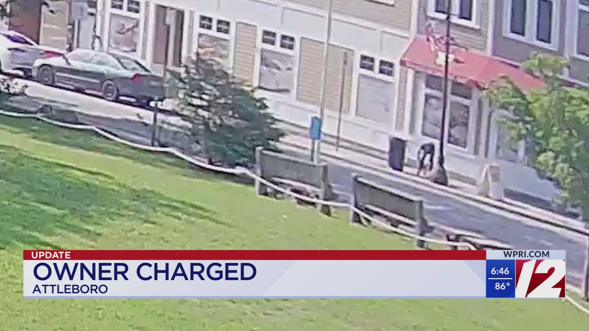 Man charged with animal cruelty after dog abandoned – WPRI.com