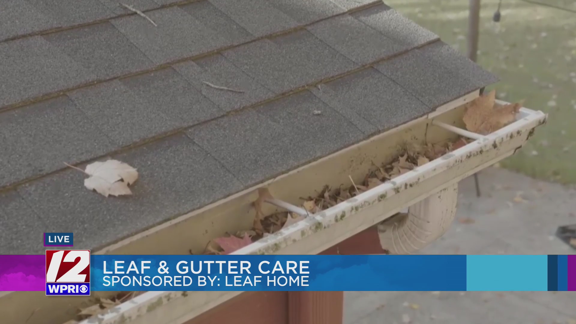 The #1 Fall Fix That Could Save Homeowners Thousands – WPRI.com