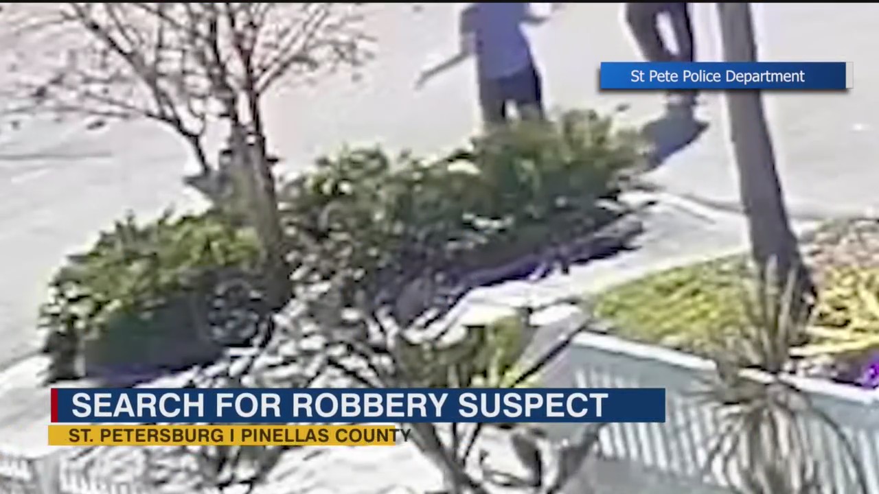 St. Pete woman attacked and robbed, search for suspect continues – WFLA