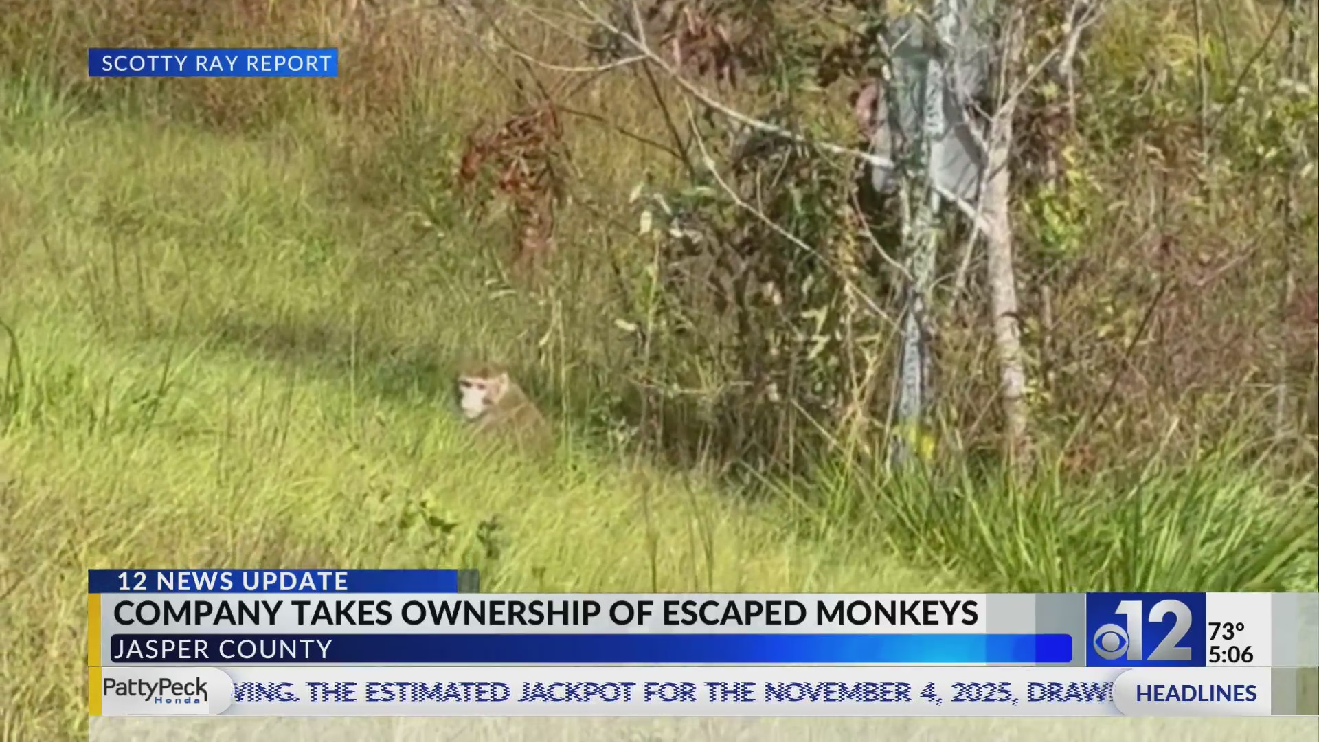 Second escaped monkey recovered deceased in Mississippi – WJTV