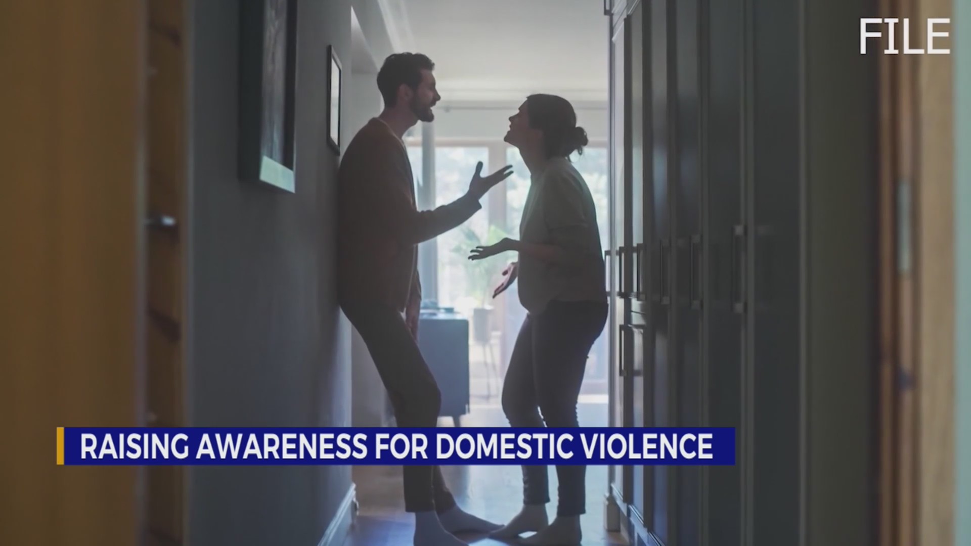 Raising awareness for domestic violence in Middle TN – WKRN News 2