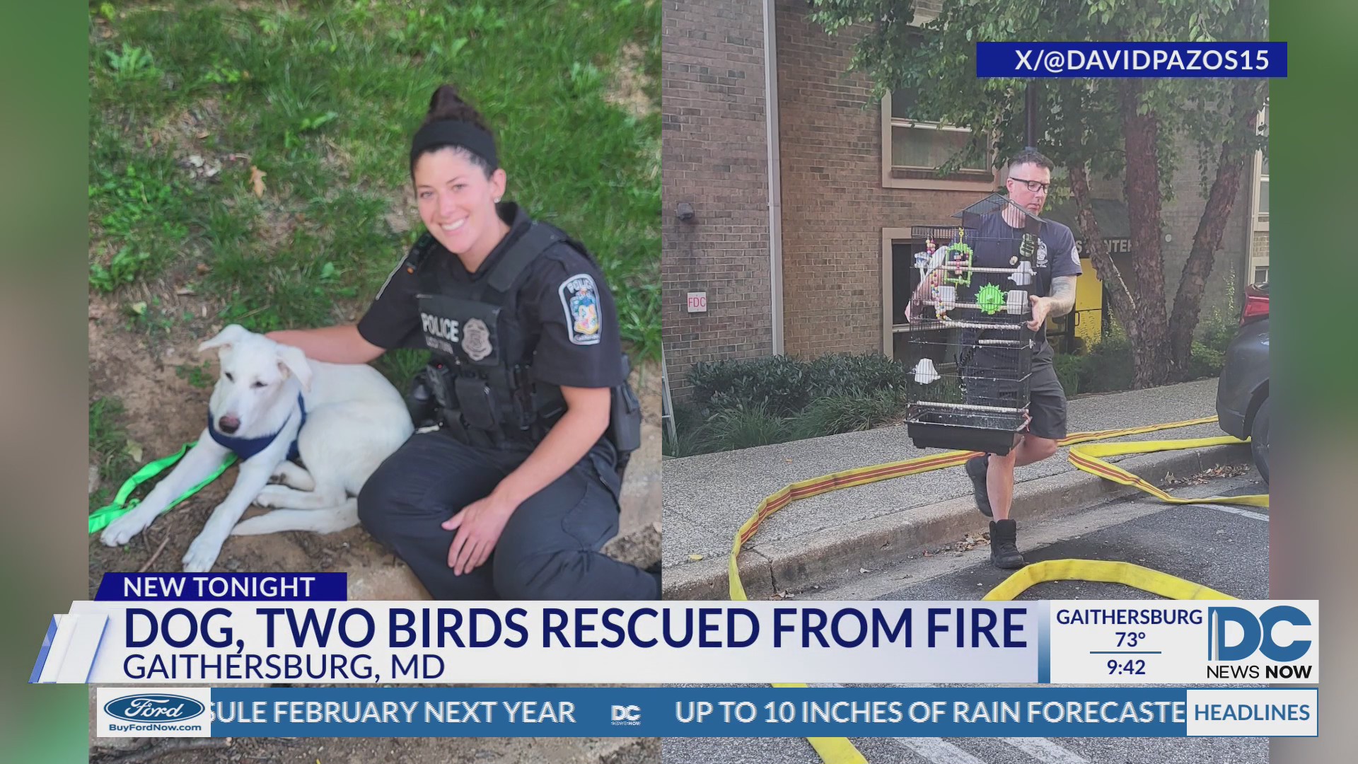 Crews rescue dog, 2 parakeets from Gaithersburg apartment fire – DC ...