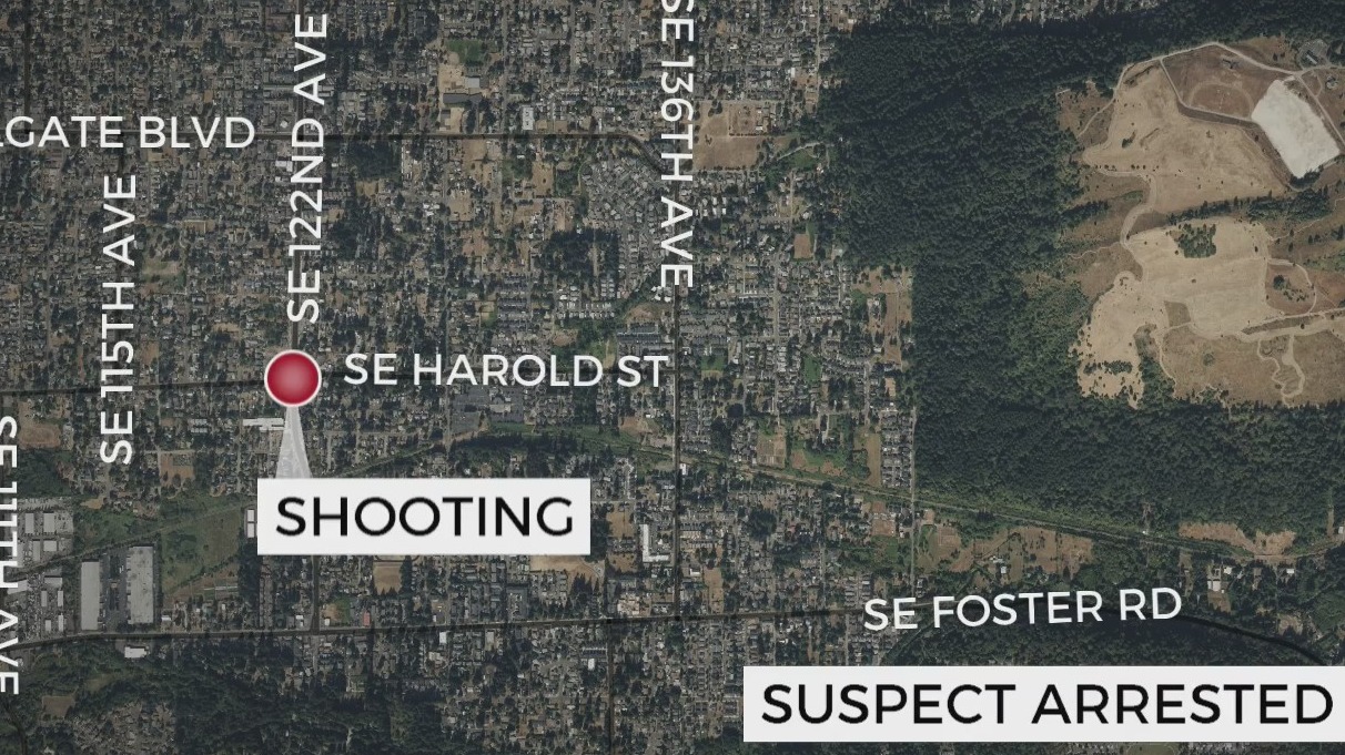 Teens injured, 19-year-old arrested in SE Portland shooting – KOIN.com