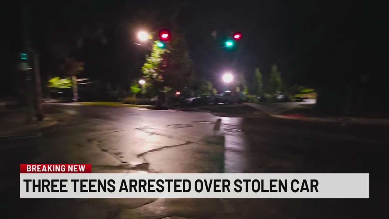 Teens arrested in connection to stolen vehicle – NEWS10 ABC