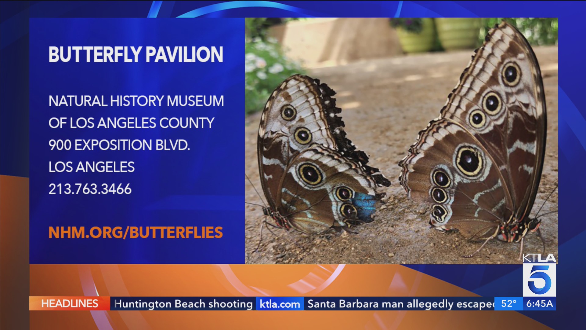 2025 Butterfly Pavilion at the Natural History Museum of Los Angeles ...