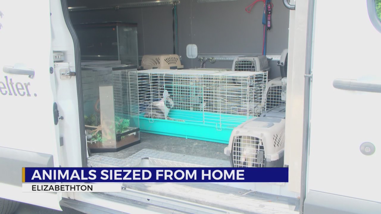 Exotic pets seized from Elizabethton home – WJHL | Tri-Cities News ...