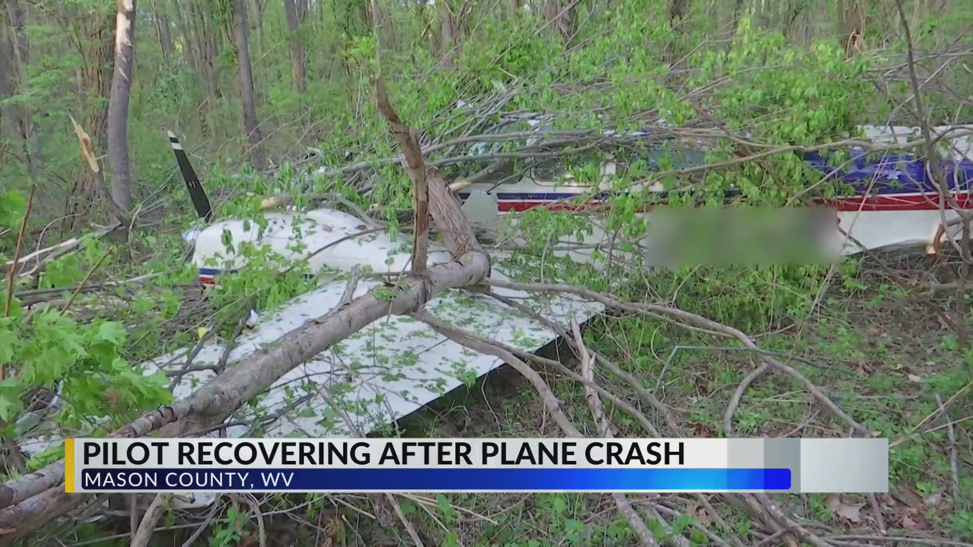 Pilot recovering after small plane crashes in Mason County – WOWK 13 News