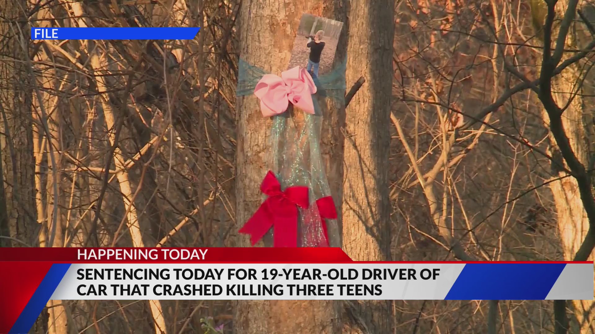 Driver to be sentenced in DUI crash that killed 3 teenagers – FOX 2