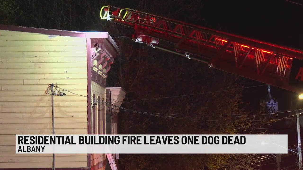 Residential building fire leaves one dog dead – NEWS10 ABC