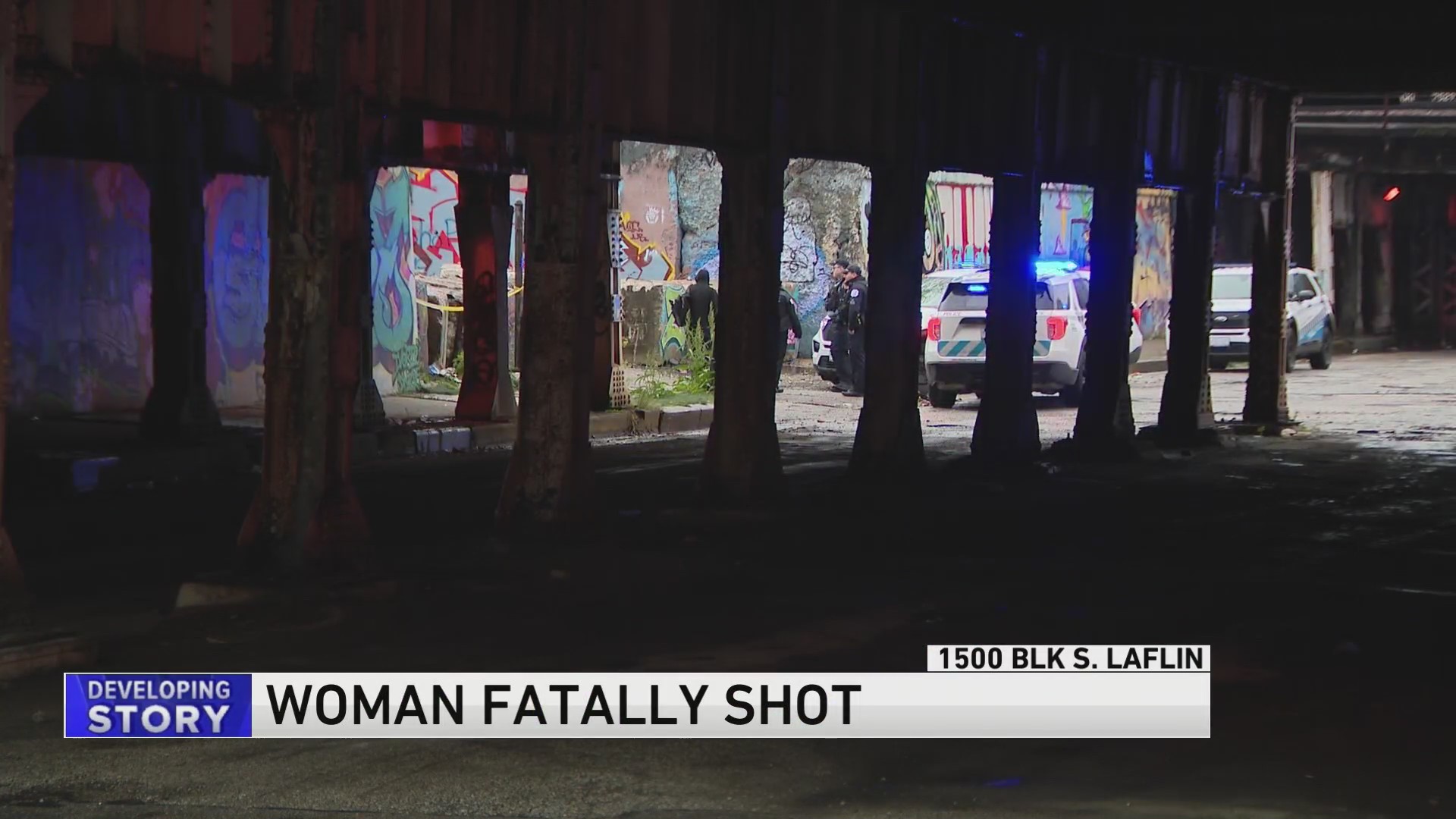 Woman dies after being shot in head on Chicago’s Near West Side – WGN-TV