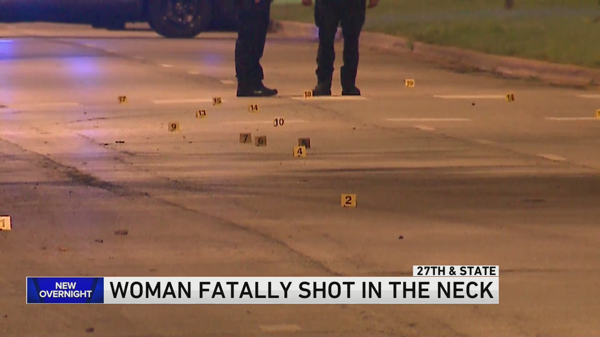 Woman found shot to death on sidewalk near CHA building on South Side ...