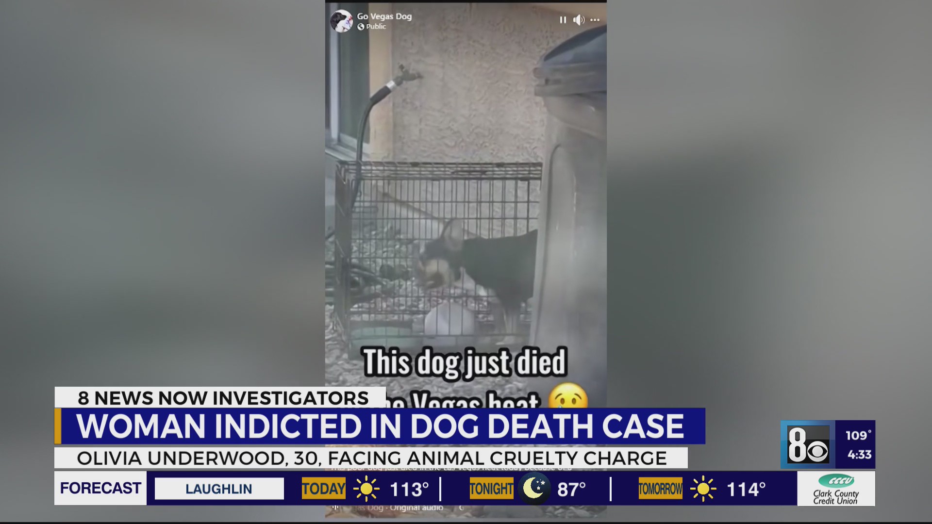Grand jury indicts Las Vegas woman on animal cruelty charge for dog’s ...