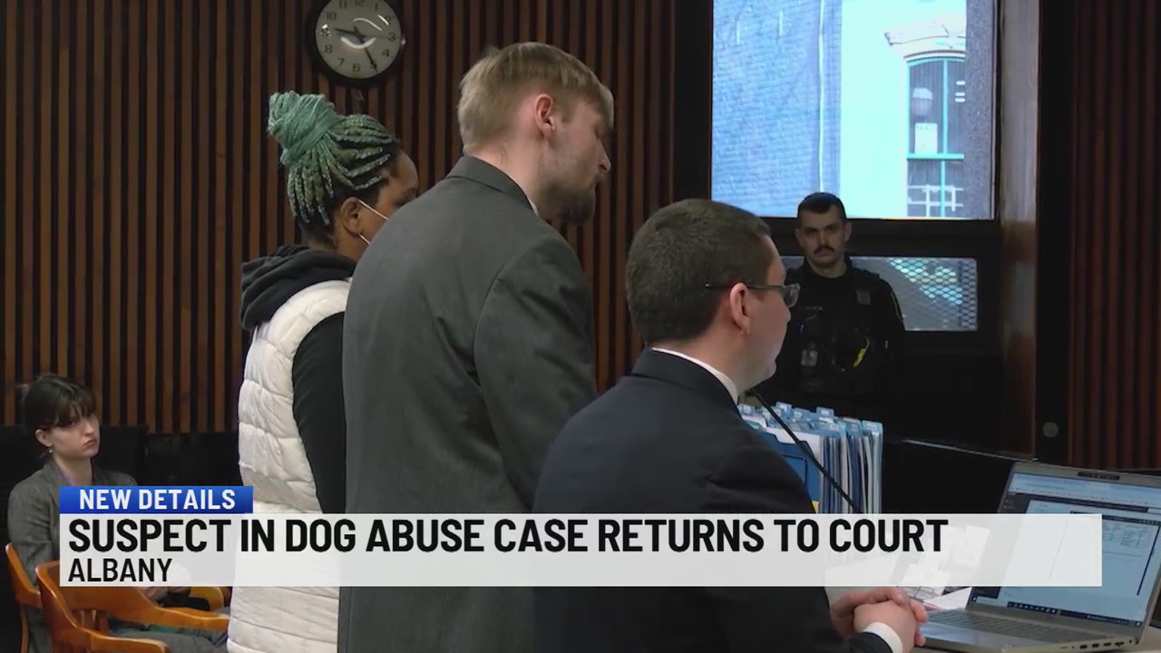 Suspect in dog abuse case returns to court – NEWS10 ABC