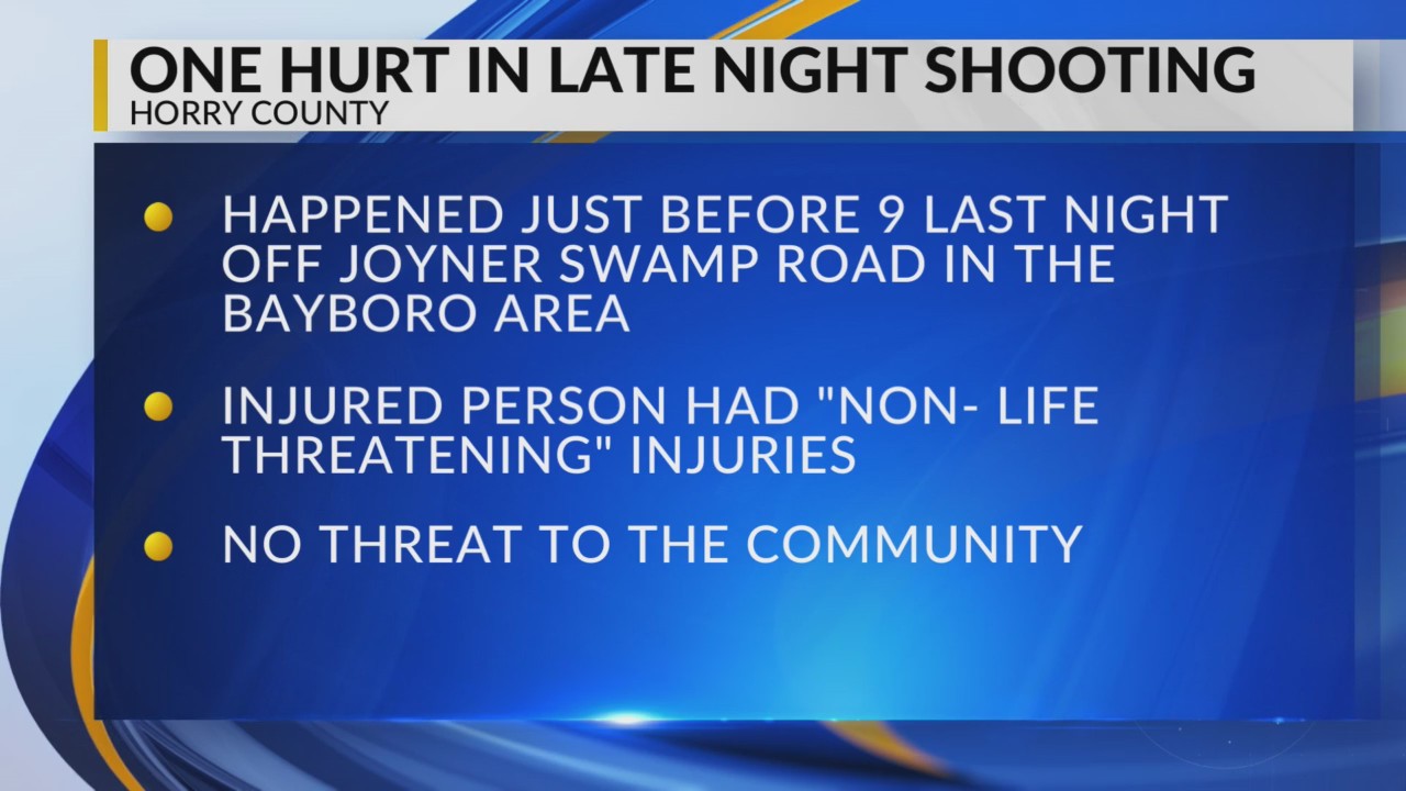 1 hurt in Horry County shooting, police say – WBTW