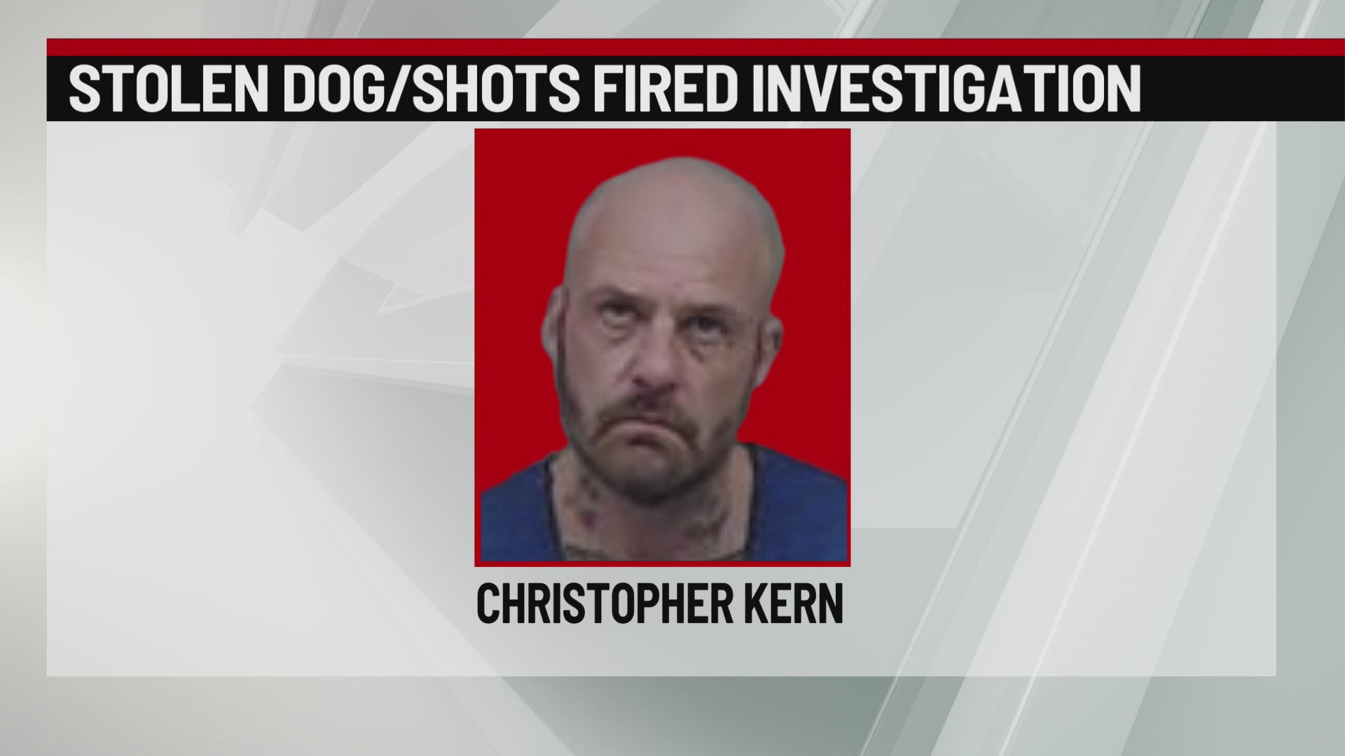 DMPD says man who stole dog back from shelter shot at Iowa police who ...