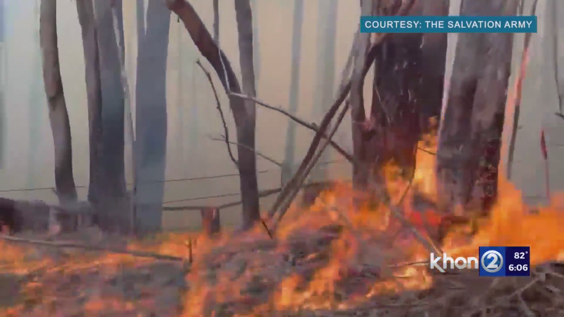 Brush fire burns 420 acres in Hamakua District – KHON2