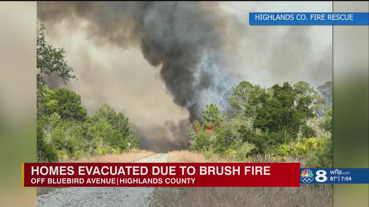 Homes in Highlands County evacuated due to brush fire – WFLA