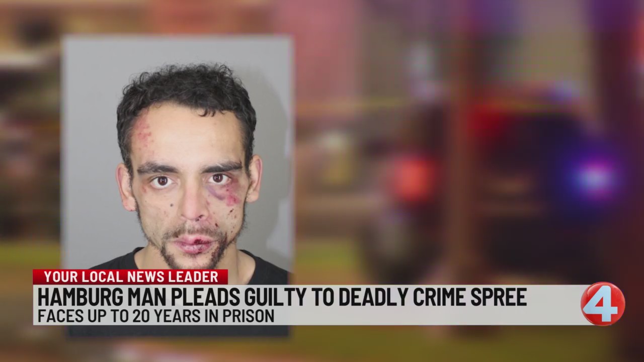 Hamburg man pleads guilty to fatal hit-and-run, series of crashes in ...