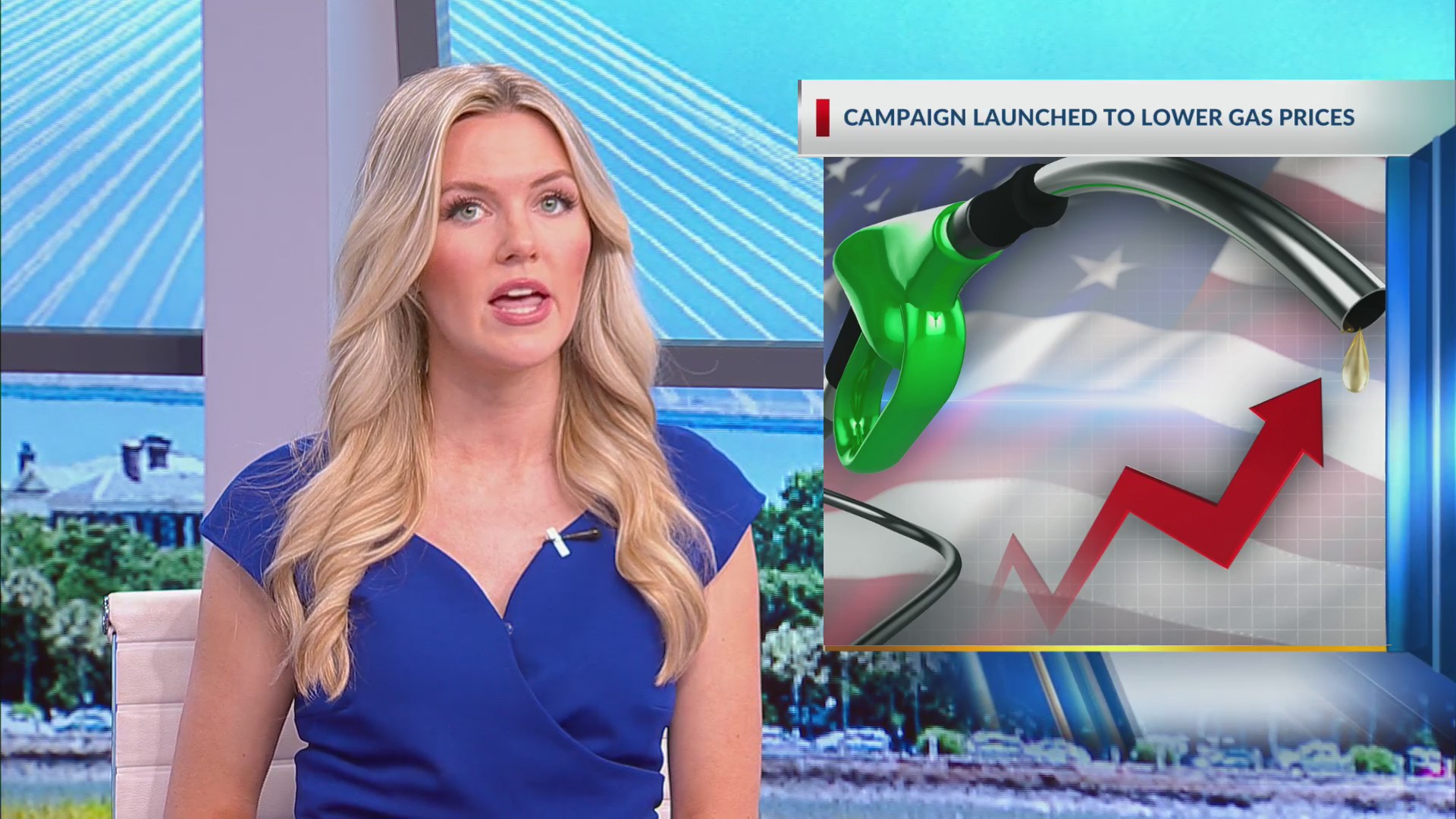 Campaign launched to lower gas prices – WCBD News 2