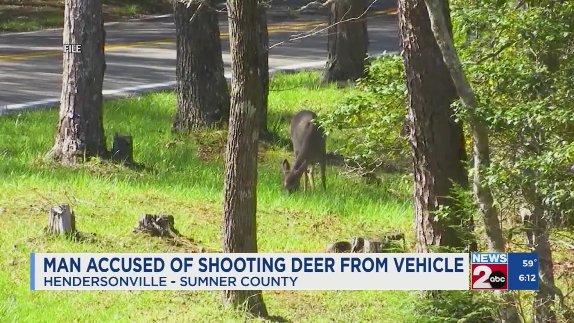 Man accused of shooting deer from vehicle – WKRN News 2